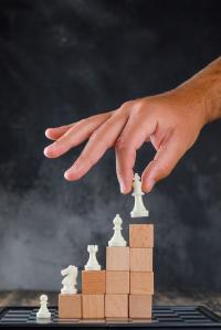 Launch & Market Support