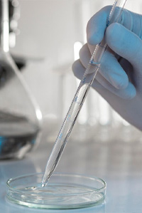 Product Formulation & Development